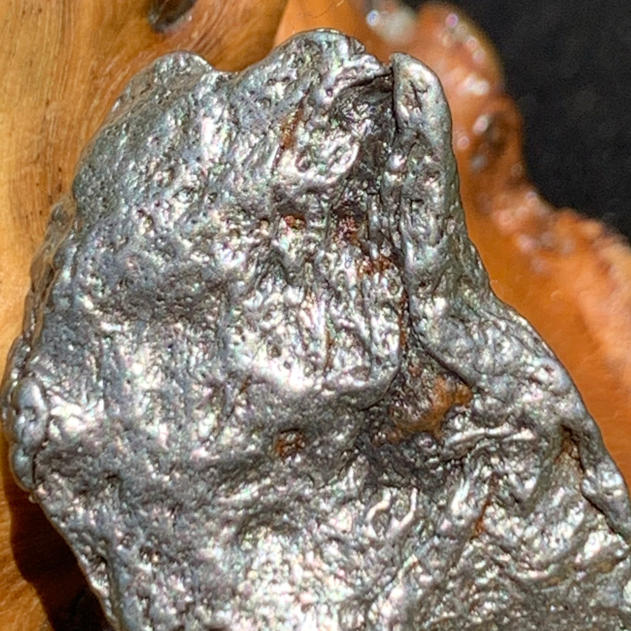 close up view of the silver campo del cielo meteorite sitting on driftwood for display