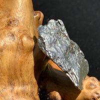 silver campo del cielo meteorite sitting on driftwood for display