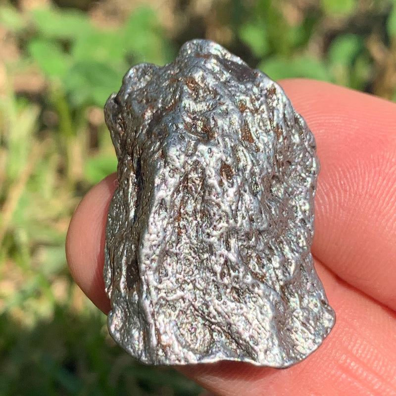 silver campo del cielo meteorite held in hand to show details