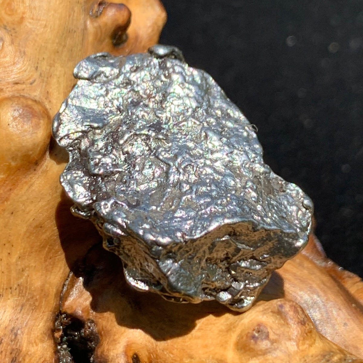 silver campo del cielo meteorite sitting on driftwood for display