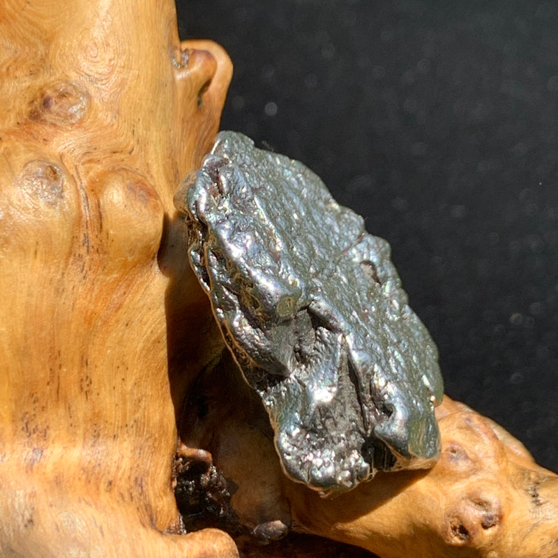 silver campo del cielo meteorite sitting on driftwood for display