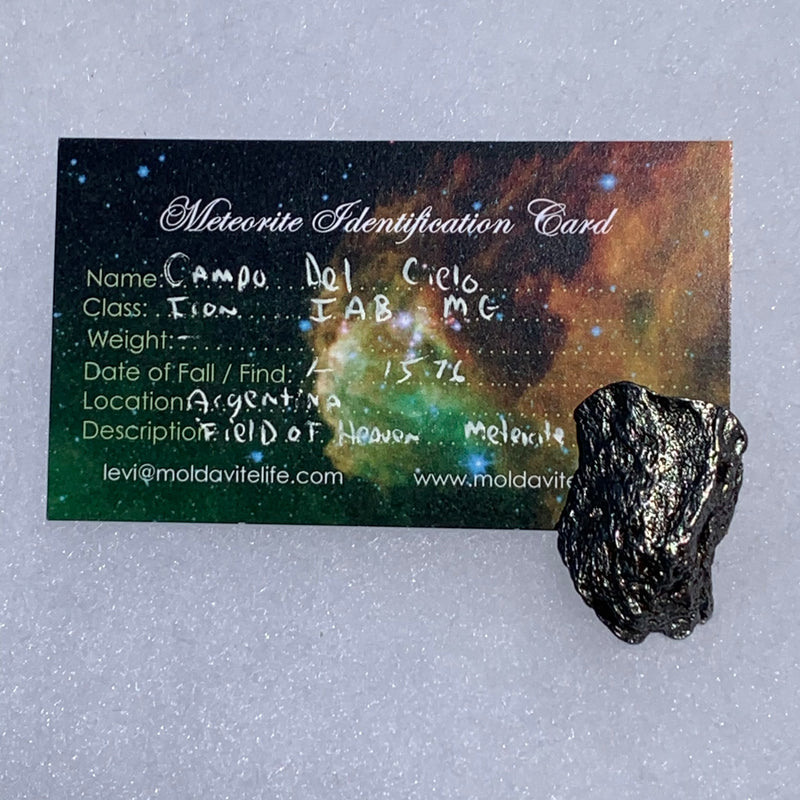 silver campo del cielo meteorite with a moldavite life meteorite identification card