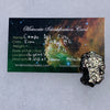 silver campo del cielo meteorite with a moldavite life meteorite identification card