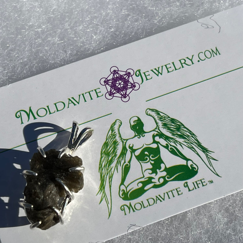Darwinite Pendant Sterling Silver 2101-Moldavite Life
