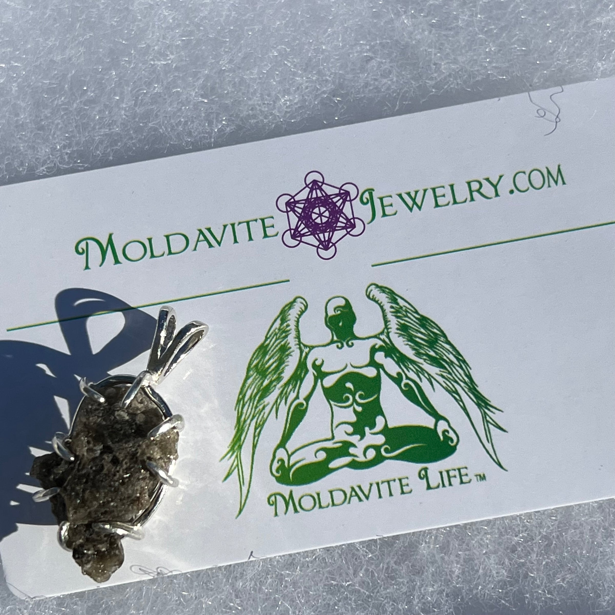 Darwinite Pendant Sterling Silver 2102-Moldavite Life