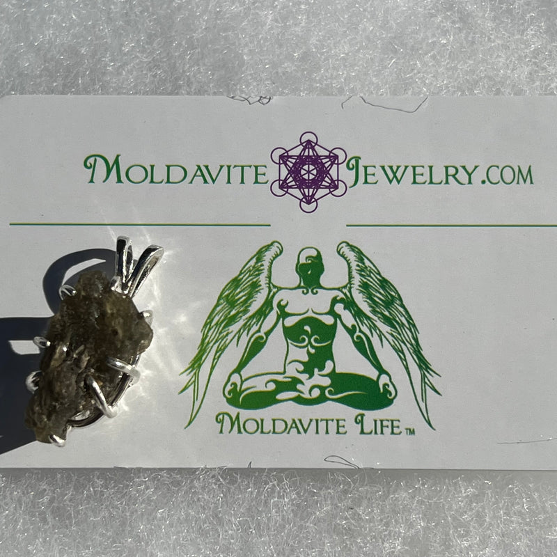 Darwinite Pendant Sterling Silver 2104-Moldavite Life
