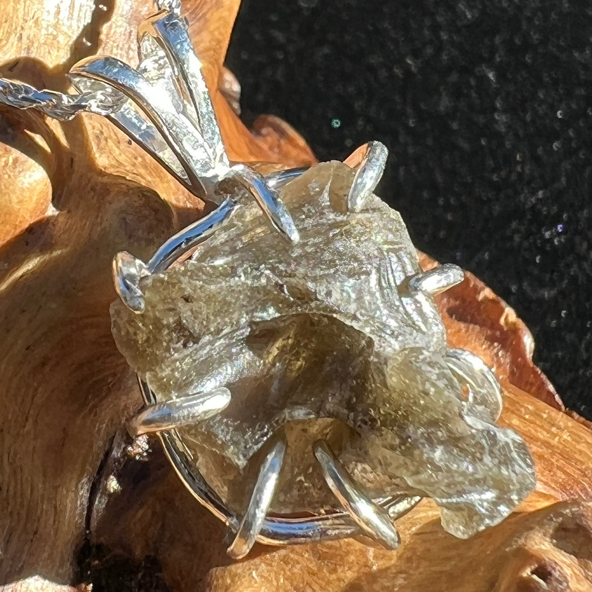 Darwinite Pendant Sterling Silver 2105-Moldavite Life