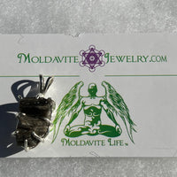 Darwinite Pendant Sterling Silver 2106-Moldavite Life