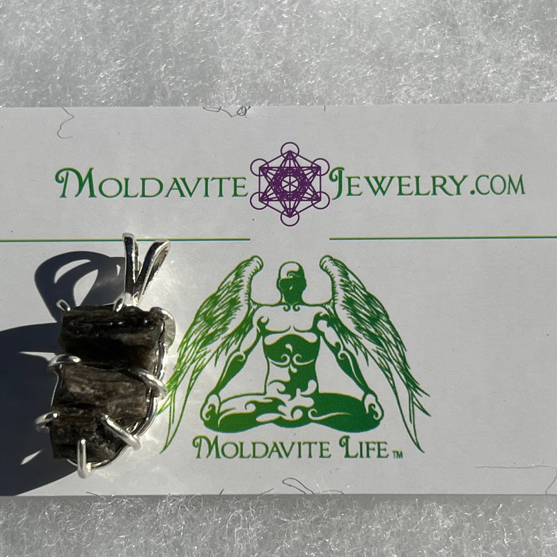 Darwinite Pendant Sterling Silver 2106-Moldavite Life