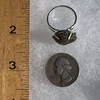 Darwinite Ring Size 7 Sterling Silver 2092-Moldavite Life