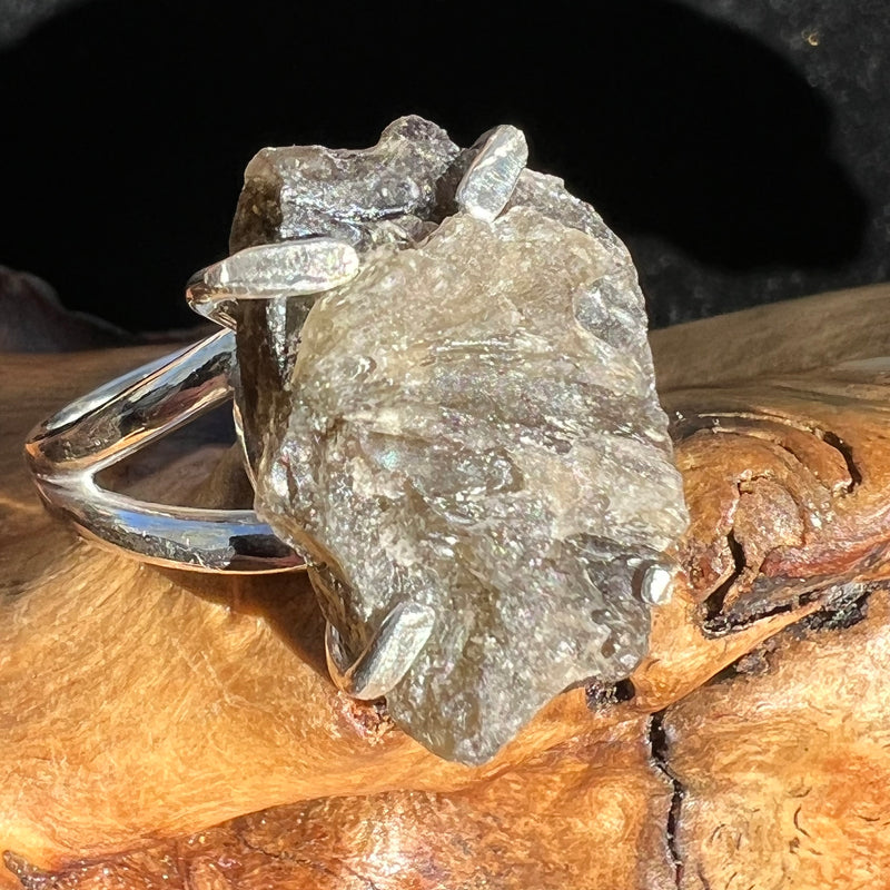 Darwinite Ring Size 7 Sterling Silver 2094-Moldavite Life