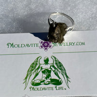 Darwinite Ring Size 9 Sterling Silver 2096-Moldavite Life