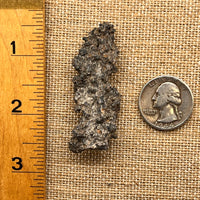 Fulgurite Lightning Natural Glass, Morocco #9-Moldavite Life