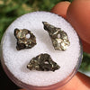 Genuine Meteorite BEAD Set Campo Del Cielo-Moldavite Life