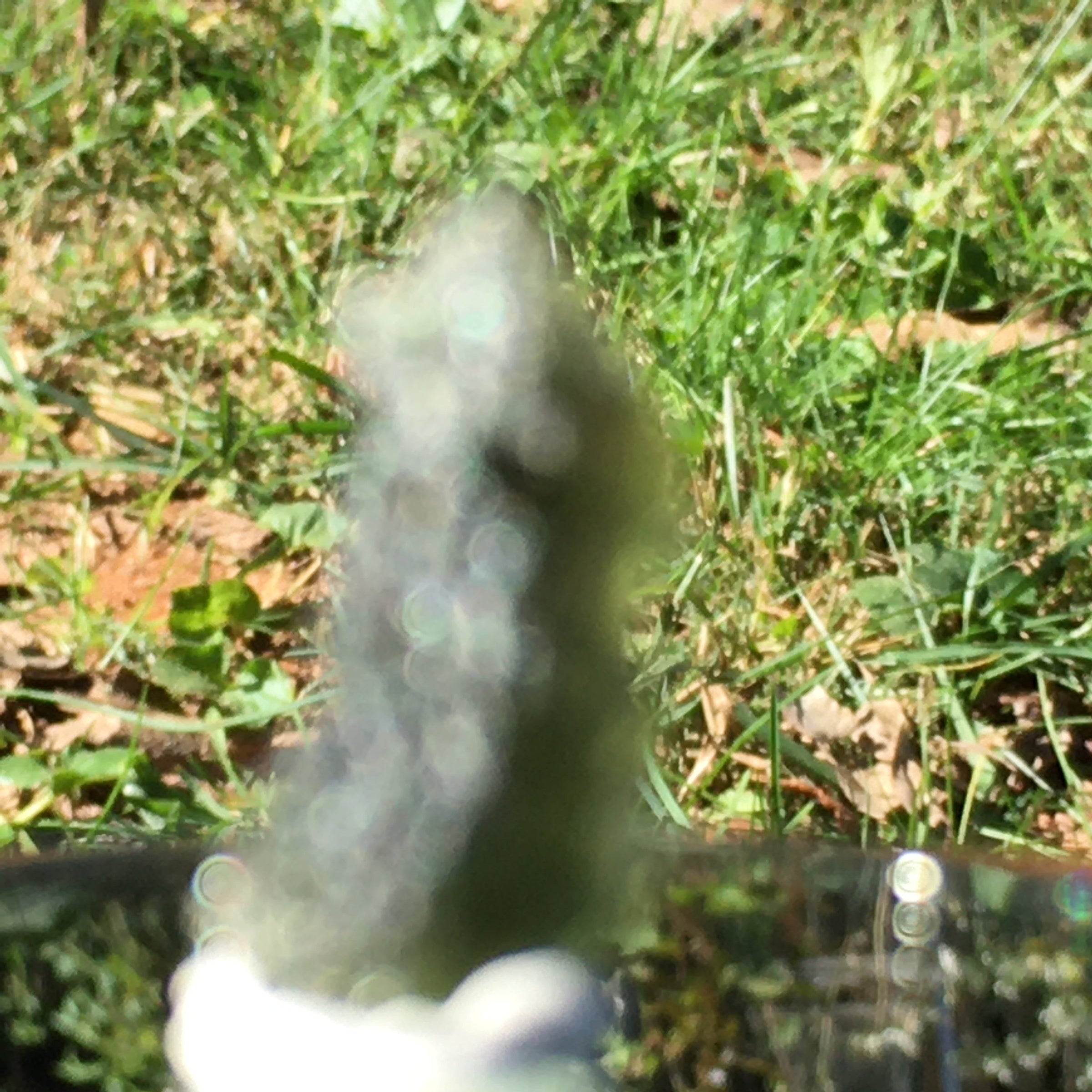 Genuine Moldavite 1.0 grams-Moldavite Life