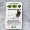 Genuine Moldavite 1.1 grams-Moldavite Life