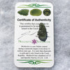 Genuine Moldavite 1.1 grams-Moldavite Life