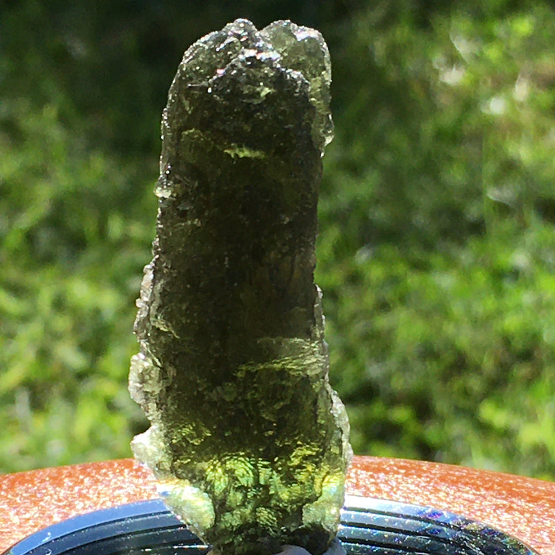 Genuine Moldavite 11.9 grams-Moldavite Life