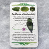 Genuine Moldavite 1.2 grams-Moldavite Life