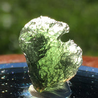 Genuine Moldavite 1.2 grams-Moldavite Life