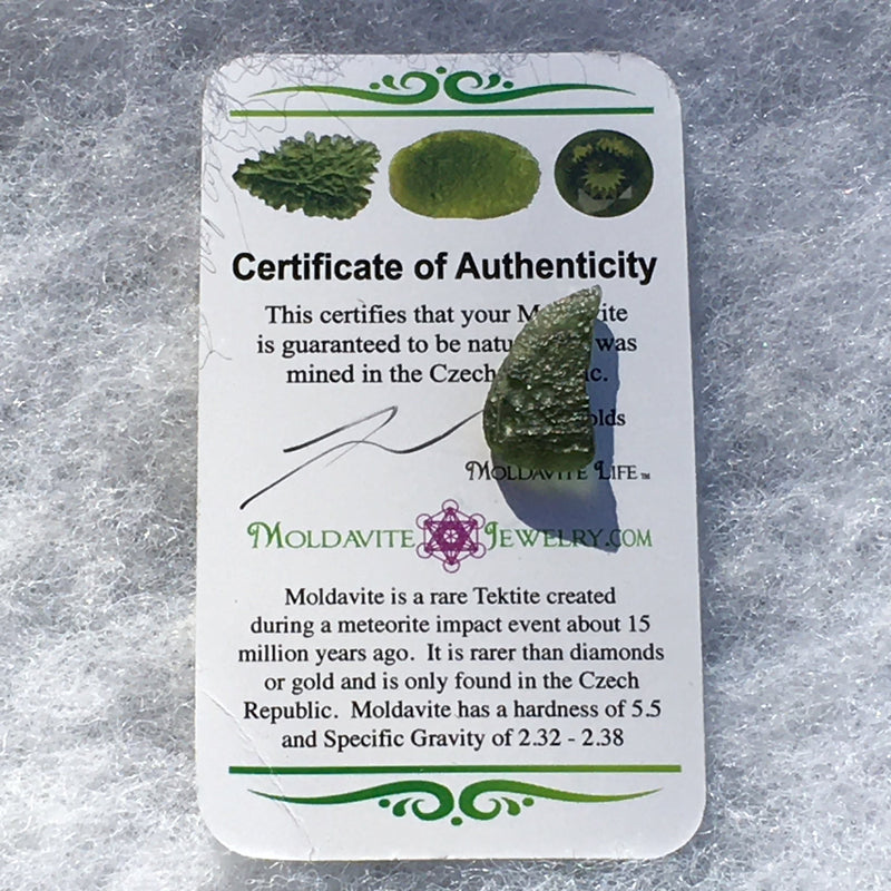 Genuine Moldavite 1.2 grams-Moldavite Life