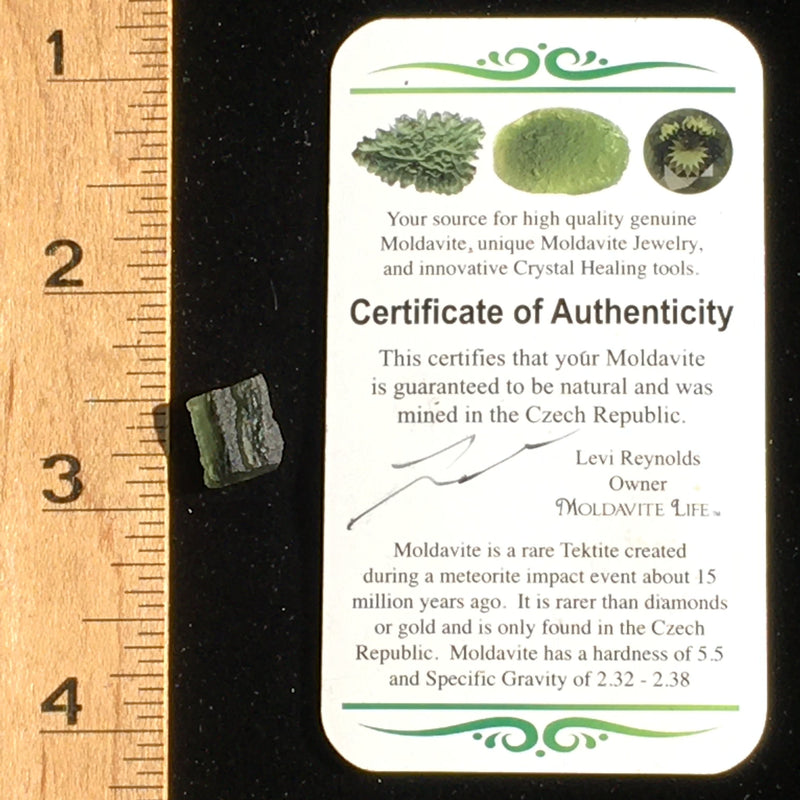 Genuine Moldavite 1.3 Grams-Moldavite Life