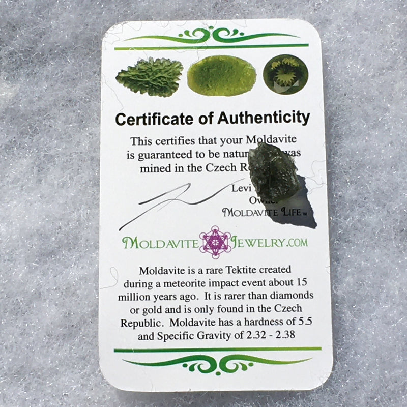 Genuine Moldavite 1.3 grams-Moldavite Life