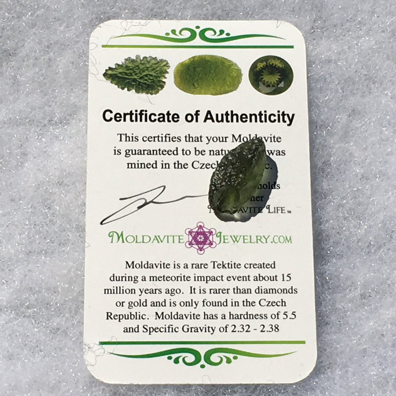 Genuine Moldavite 1.4 grams-Moldavite Life