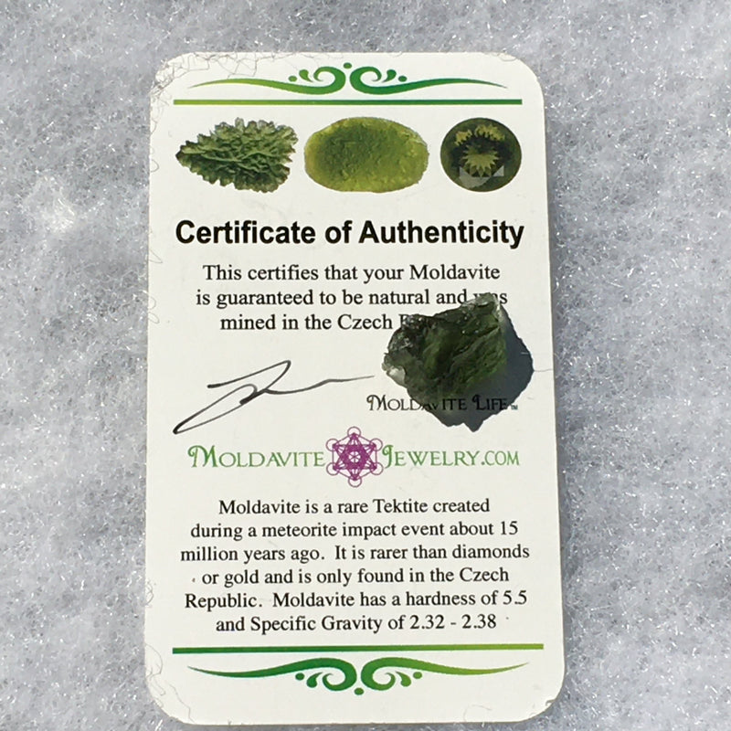 Genuine Moldavite 1.4 grams-Moldavite Life