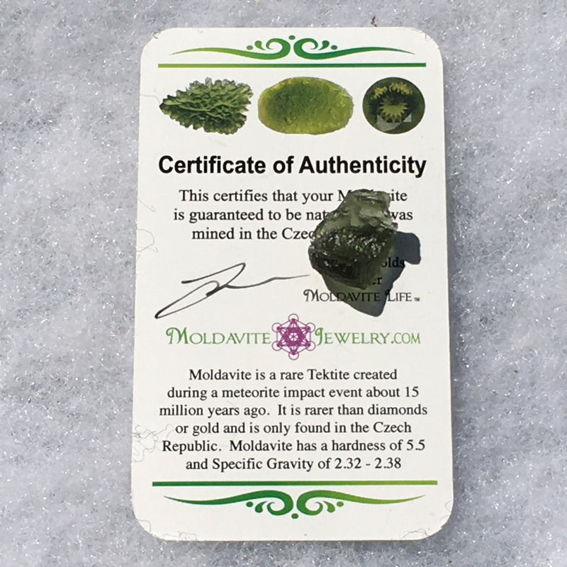 Genuine Moldavite 1.5 grams-Moldavite Life