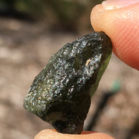 Genuine Moldavite 1.5 grams-Moldavite Life