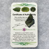 Genuine Moldavite 1.6 grams-Moldavite Life