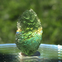 Genuine Moldavite 1.6 grams-Moldavite Life