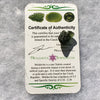 Genuine Moldavite 1.6 grams-Moldavite Life