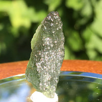 Genuine Moldavite 1.6 grams-Moldavite Life