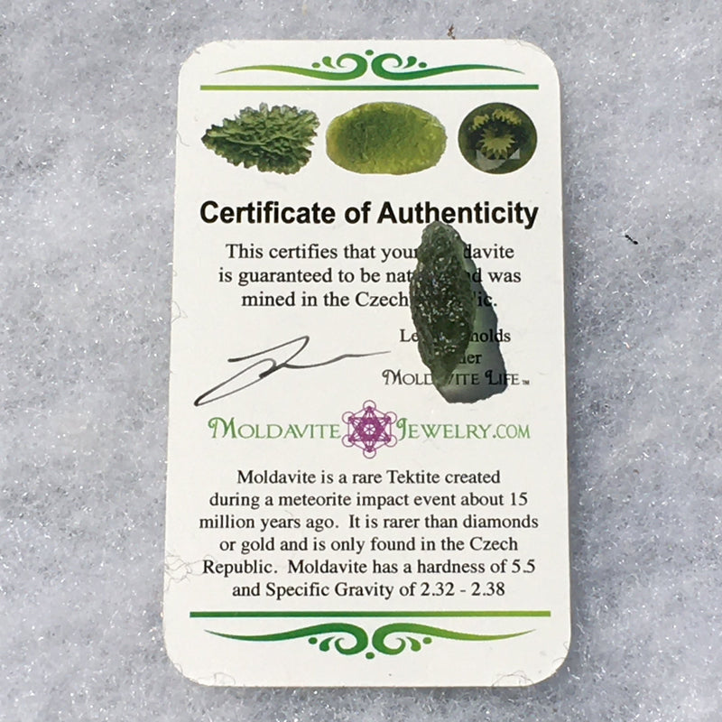 Genuine Moldavite 1.6 grams-Moldavite Life