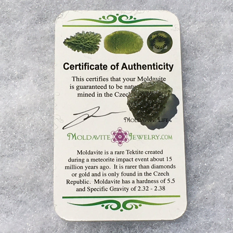 Genuine Moldavite 1.6 grams-Moldavite Life