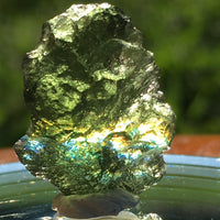 Genuine Moldavite 1.6 grams-Moldavite Life