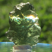 Genuine Moldavite 1.6 grams-Moldavite Life