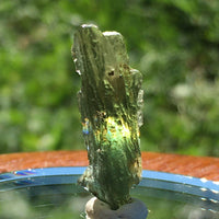 Genuine Moldavite 1.6 grams-Moldavite Life