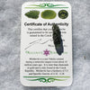 Genuine Moldavite 1.6 grams-Moldavite Life