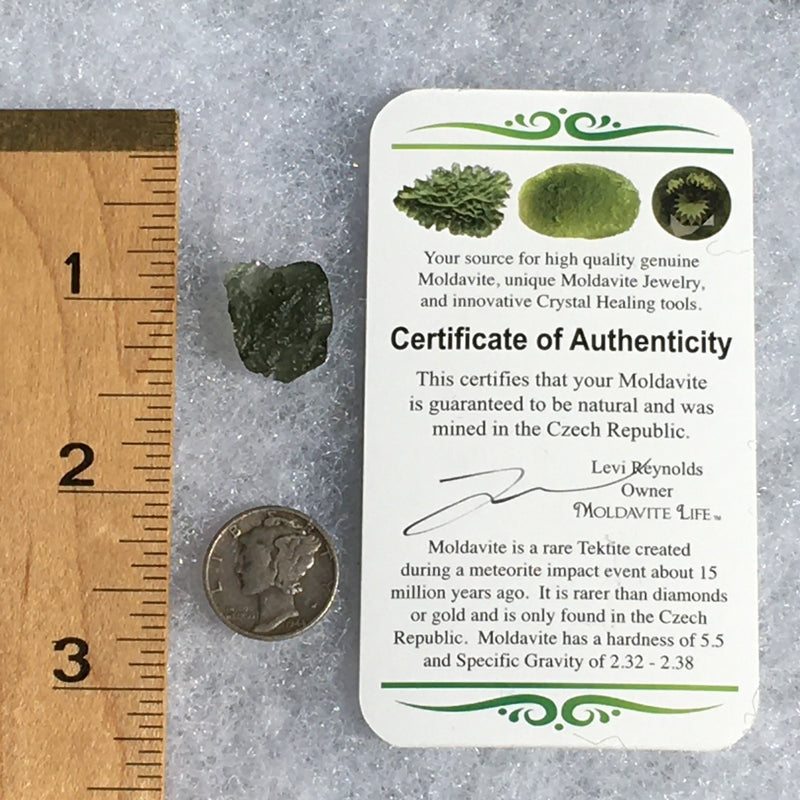 Genuine Moldavite 1.7 grams-Moldavite Life