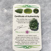 Genuine Moldavite 1.7 grams-Moldavite Life