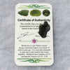 Genuine Moldavite 1.7 grams-Moldavite Life