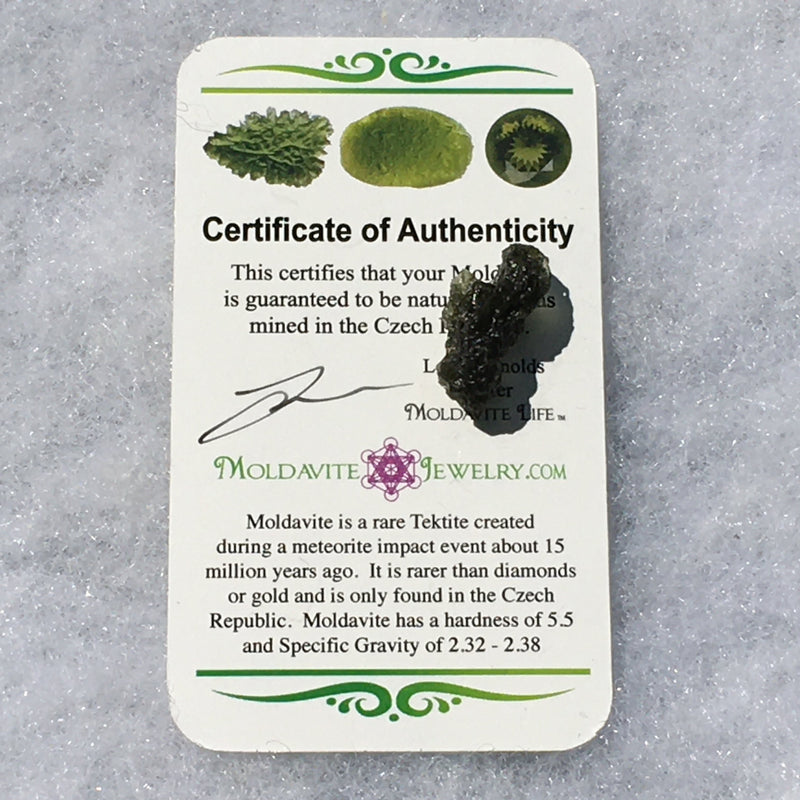 Genuine Moldavite 1.7 grams-Moldavite Life