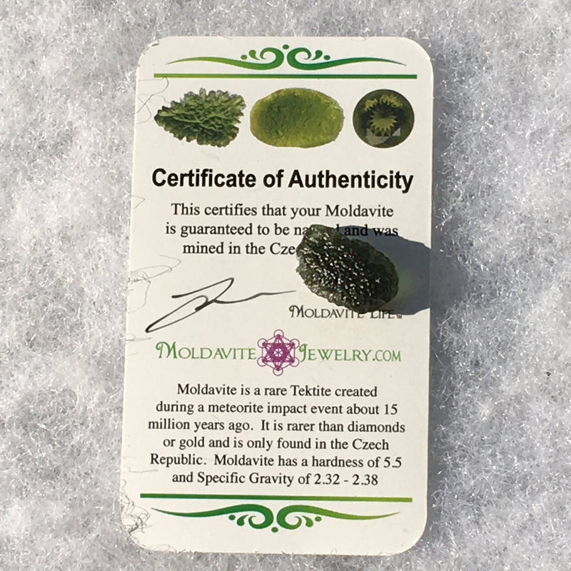 Genuine Moldavite 1.7 grams-Moldavite Life