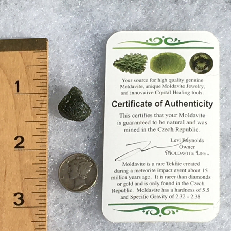 Genuine Moldavite 1.9 grams-Moldavite Life