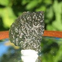 Genuine Moldavite 1.9 grams-Moldavite Life