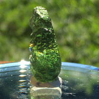 Genuine Moldavite 1.9 grams-Moldavite Life