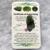 Genuine Moldavite 1.9 grams-Moldavite Life